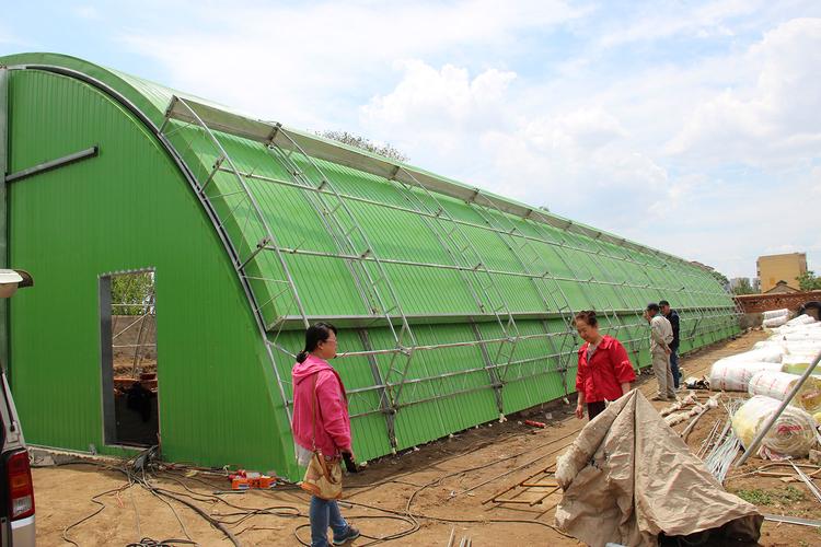 食用菌镇是重庆出口产品的主要生产基地之一,食用菌花卉种植要经过